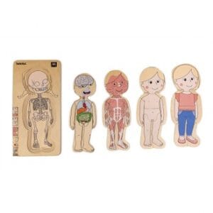 Puzzle educativo anatomía femenina