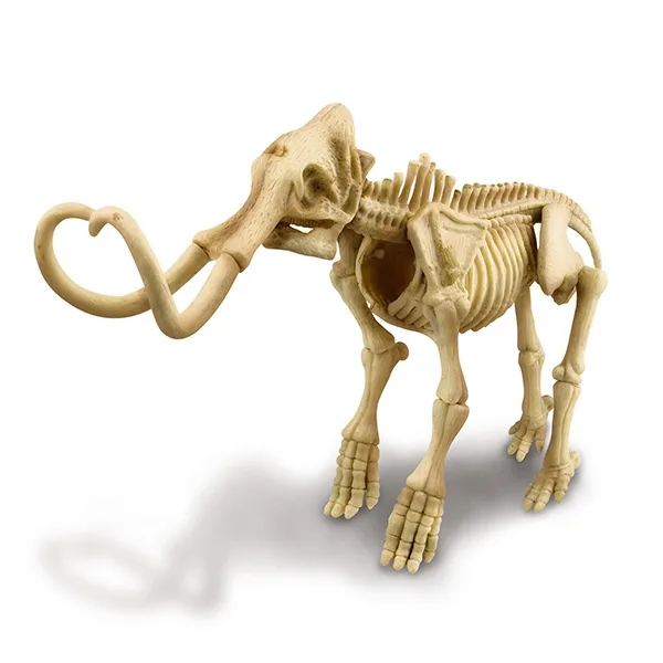 KidzLabs paleontología esqueleto mamut 2