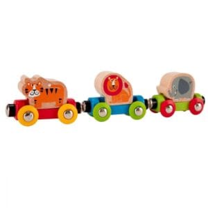 Tren viaje por la selva