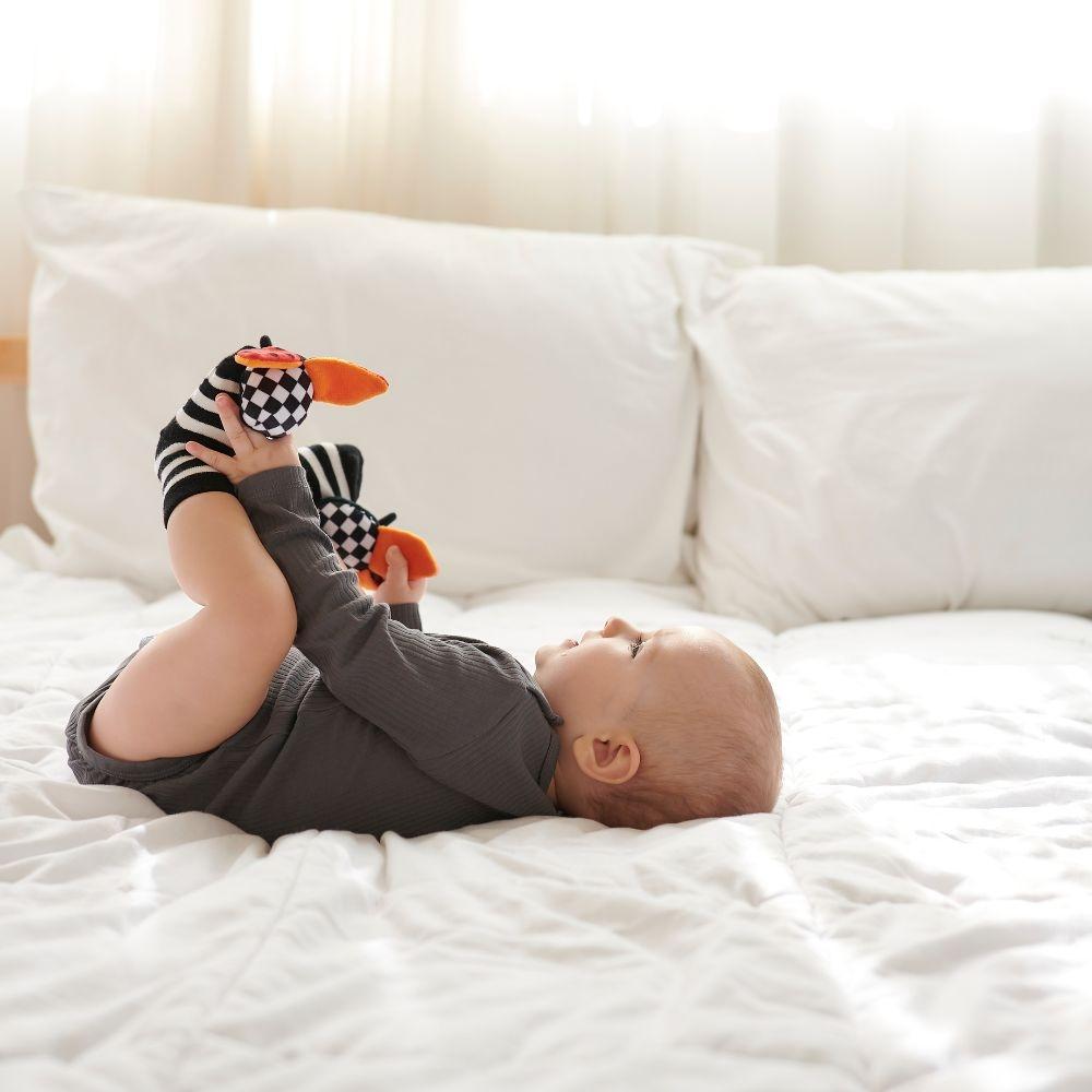 Calcetines estimulación Attisocks Ladybug – Calcetines sensoriales bebé – Attipas – Desarrollo motor y cognitivo desde 0 meses 3 Calcetines estimulación Attisocks Ladybug – Calcetines sensoriales bebé – Attipas – Desarrollo motor y cognitivo desde 0 meses