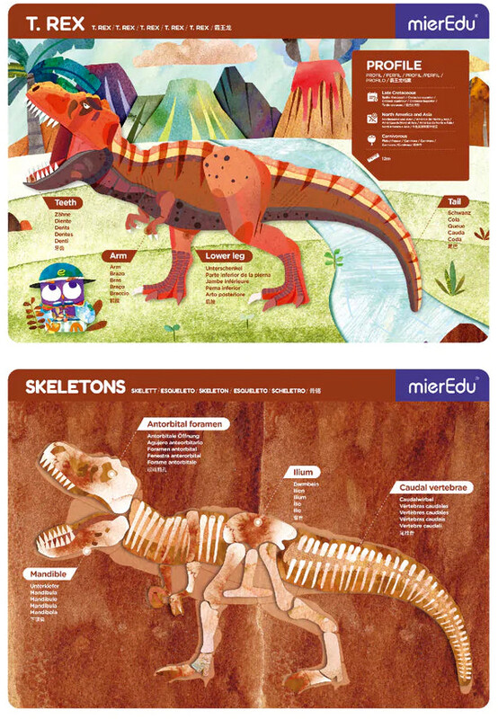 Maletín magnético Tyrannosaurus