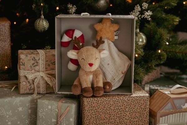 Caja Regalo Navidad Recién Nacido – Set con doudou, sonajero y peluche reno – Little Dutch – Regalo tierno desde 0 meses 16 Caja Regalo Navidad Recién Nacido – Set con doudou, sonajero y peluche reno – Little Dutch – Regalo tierno desde 0 meses