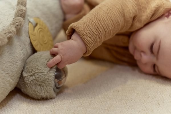 Cocodrilo de Actividades Safari Friends – Peluche Sensorial para Bebés – Little Dutch – Estimulación y Descubrimiento – IndyaEduOcio 13 Cocodrilo de Actividades Safari Friends – Peluche Sensorial para Bebés – Little Dutch – Estimulación y Descubrimiento – IndyaEduOcio