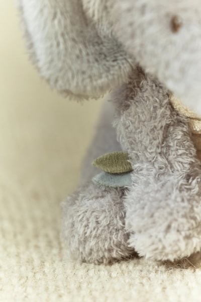 Elefante Peluche Safari Friends – Peluche Infantil Suave – Little Dutch – Compañero de Apego – IndyaEduOcio 5 Elefante Peluche Safari Friends – Peluche Infantil Suave – Little Dutch – Compañero de Apego – IndyaEduOcio