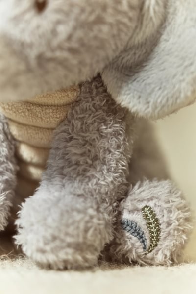 Elefante Peluche Safari Friends – Peluche Infantil Suave – Little Dutch – Compañero de Apego – IndyaEduOcio 6 Elefante Peluche Safari Friends – Peluche Infantil Suave – Little Dutch – Compañero de Apego – IndyaEduOcio