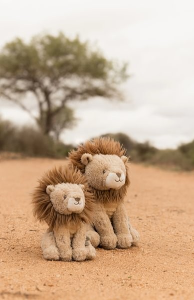León Peluche 25 cm Safari Friends – Peluche Infantil Grande – Little Dutch – Compañero de Apego – IndyaEduOcio 8 León Peluche 25 cm Safari Friends – Peluche Infantil Grande – Little Dutch – Compañero de Apego – IndyaEduOcio