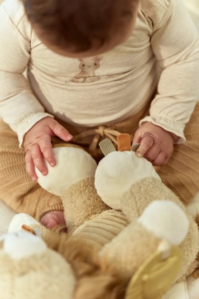 León de Actividades Safari Friends – Peluche Sensorial para Bebés – Little Dutch – Estimulación Temprana – IndyaEduOcio 9 León de Actividades Safari Friends – Peluche Sensorial para Bebés – Little Dutch – Estimulación Temprana – IndyaEduOcio