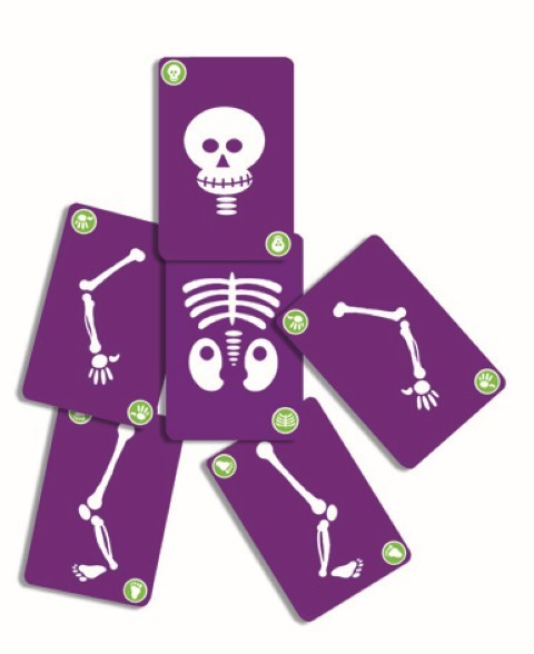 Cartas Bogoos - Djeco - indyaeduocio 2 Cartas Bogoos - Djeco - indyaeduocio