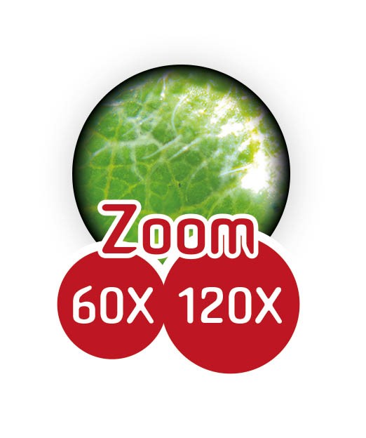 Microscopio de Bolsillo 60x-120x - Buki - indyaeduocio 4 Microscopio de Bolsillo 60x-120x - Buki - indyaeduocio