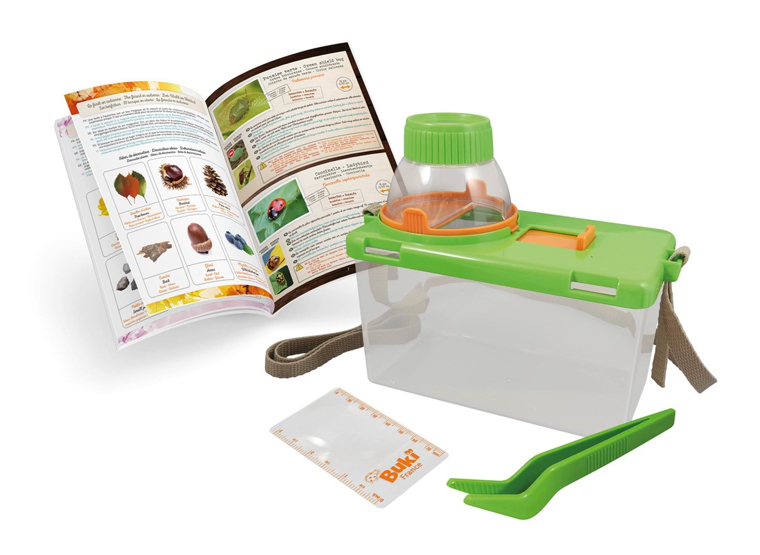 Terrario para Insectos - Buki - indyaeduocio 2 Terrario para Insectos - Buki - indyaeduocio