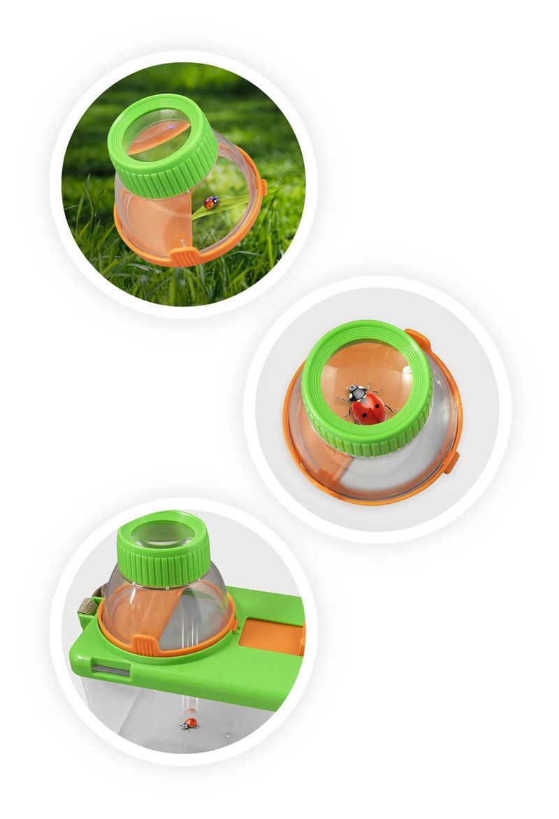 Terrario para Insectos - Buki - indyaeduocio 5 Terrario para Insectos - Buki - indyaeduocio