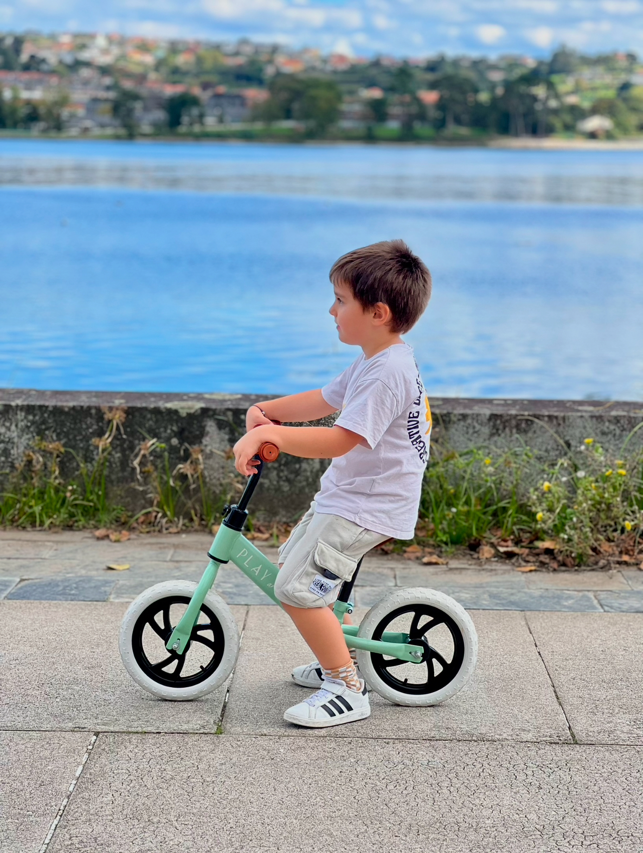 Bici de Equilibrio Premium Green - Play & Store - indyaeduocio 10 Bici de Equilibrio Premium Green - Play & Store - indyaeduocio